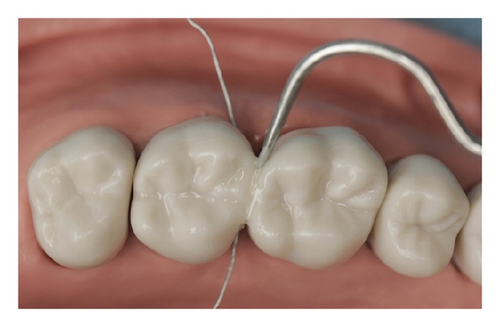 Details are in the caption following the image Details are in the caption following the image