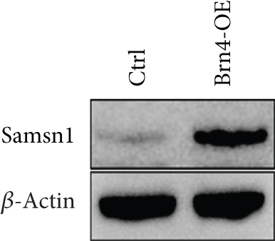 Details are in the caption following the image