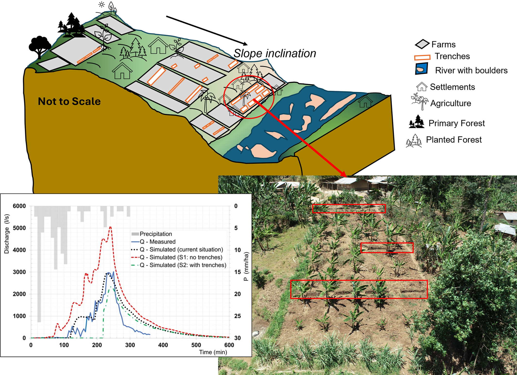 Modelling the impact of trenches on soil erosion control using OpenLISEM on Mount Elgon, Uganda