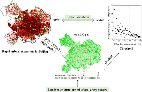 Valuing urban green spaces in mitigating climate change: A city-wide estimate of aboveground carbon stored in urban green spaces of China's Capital