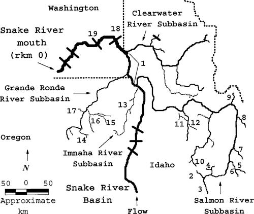 Details are in the caption following the image