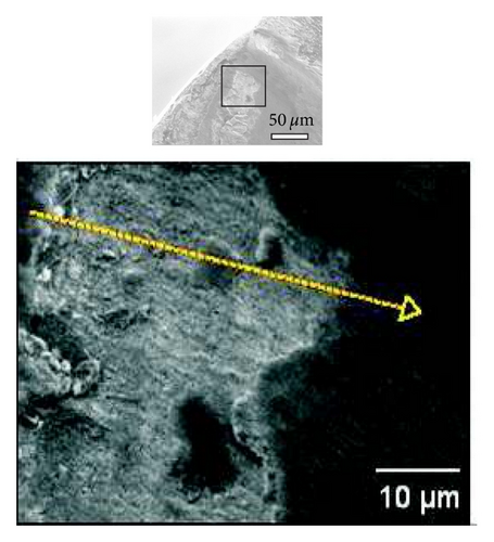Details are in the caption following the image Details are in the caption following the image