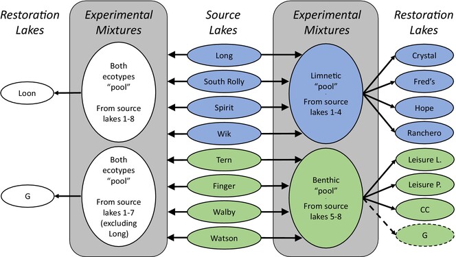 Designing eco-evolutionary experiments for restoration projects: Opportunities and constraints revealed during stickleback introductions