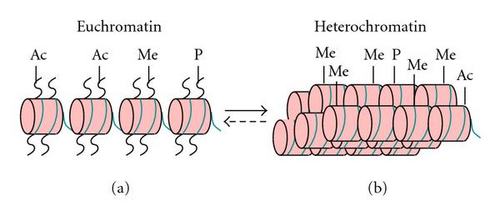 Details are in the caption following the image