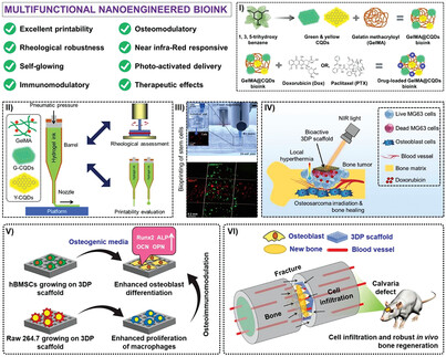 A 3D Bioprinted Nanoengineered Hydrogel with Photoactivated Drug Delivery for Tumor Apoptosis and Simultaneous Bone Regeneration via Macrophage Immunomodulation