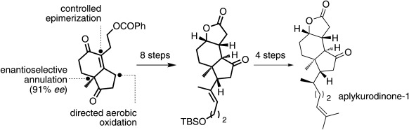 Formal Enantioselective Synthesis of Aplykurodinone-1