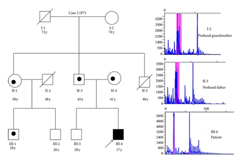 Details are in the caption following the image Details are in the caption following the image