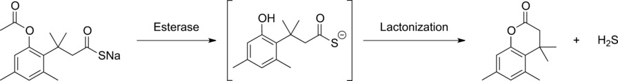 Esterase-Sensitive Prodrugs with Tunable Release Rates and Direct Generation of Hydrogen Sulfide