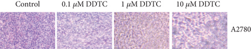 Details are in the caption following the image