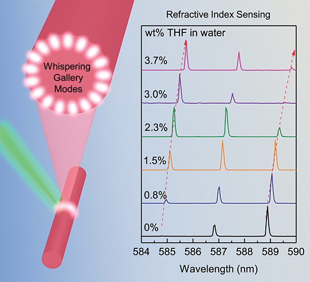 Whispering gallery mode microlasers and refractive index sensing based on single polymer fiber