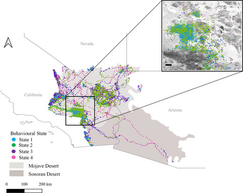 Linking behavioral states to landscape features for improved conservation management