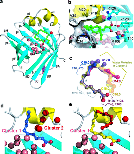 Details are in the caption following the image Details are in the caption following the image