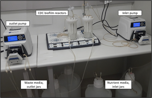 Details are in the caption following the image