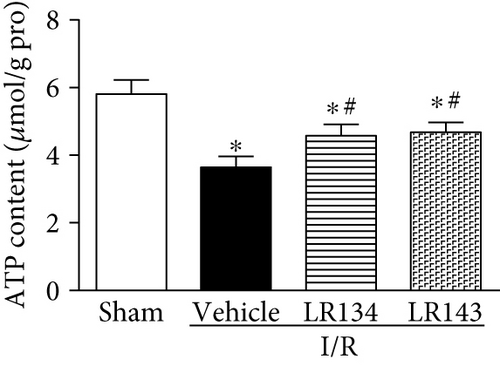 Details are in the caption following the image