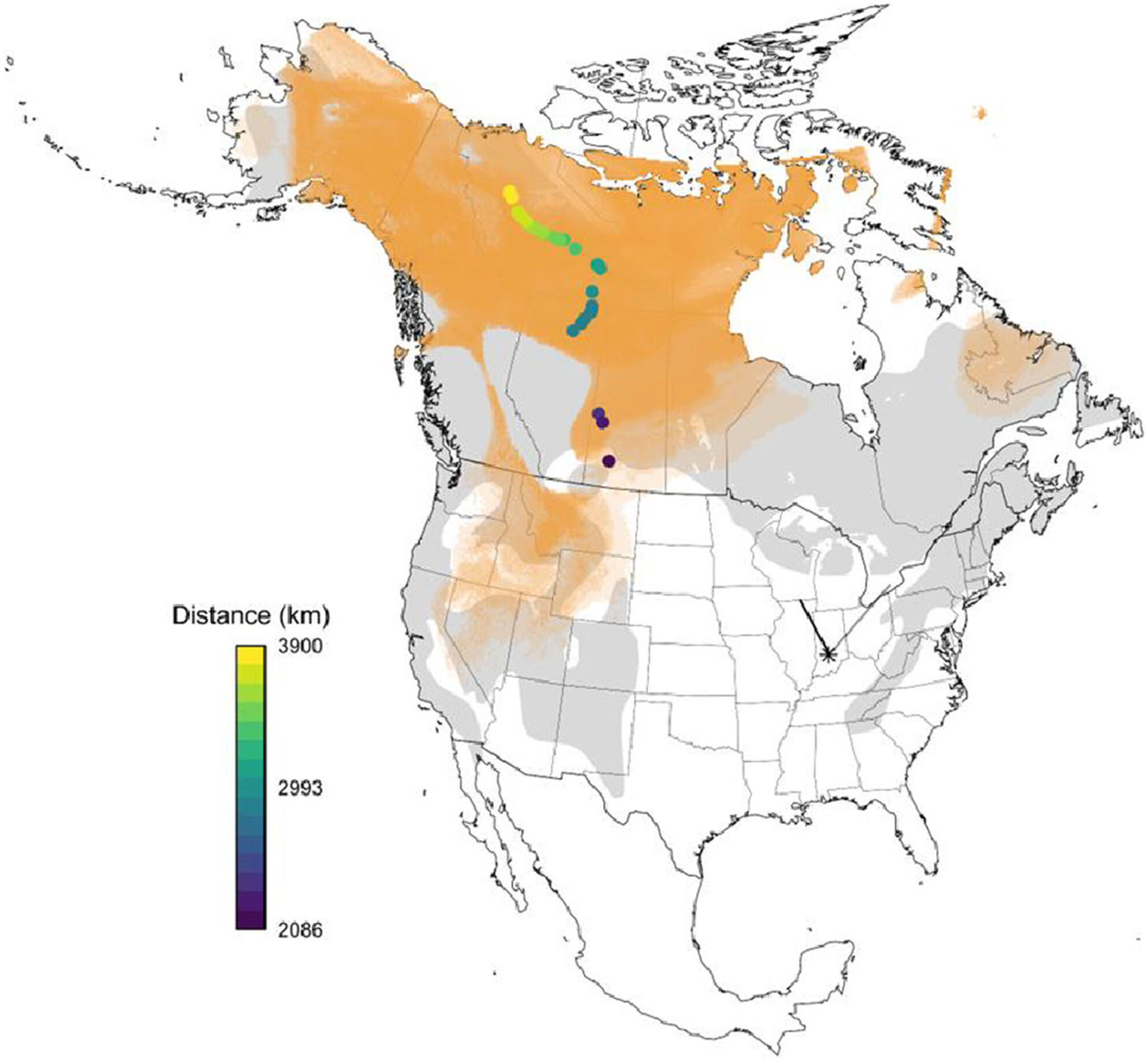 Determinants of spring migration departure dates in a New World sparrow: Weather variables reign supreme