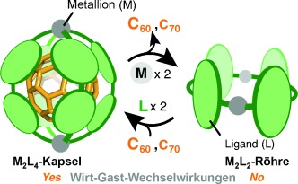 Selective Host–Guest Interactions of a Transformable Coordination Capsule/Tube with Fullerenes
