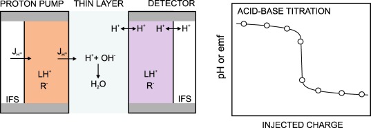 Thin-Layer Chemical Modulations by a Combined Selective Proton Pump and pH Probe for Direct Alkalinity Detection