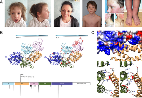 Details are in the caption following the image Details are in the caption following the image