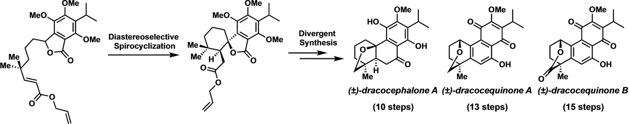 Total Syntheses of (±)-Dracocephalone A and (±)-Dracocequinones A and B