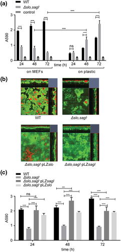 Details are in the caption following the image Details are in the caption following the image