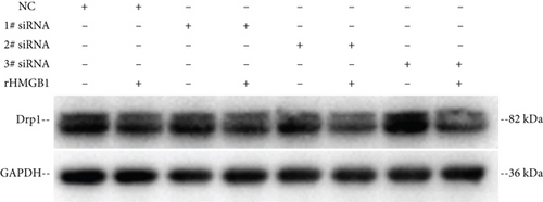 Details are in the caption following the image