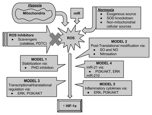 Details are in the caption following the image