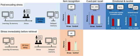 The effects of psychosocial stress on item, cued-pair and emotional memory