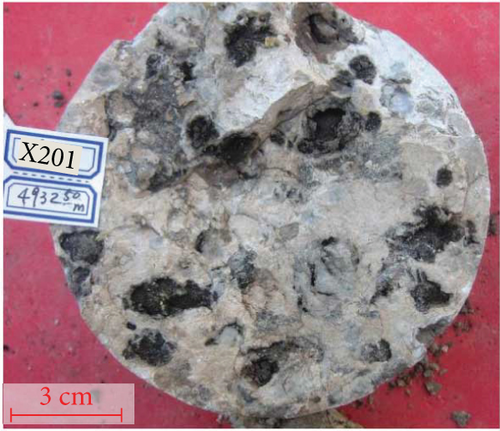 Details are in the caption following the image Details are in the caption following the image