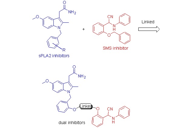 Design, Synthesis, and Biological Evaluation of Novel Dual Inhibitors of Secretory Phospholipase A2 and Sphingomyelin Synthase