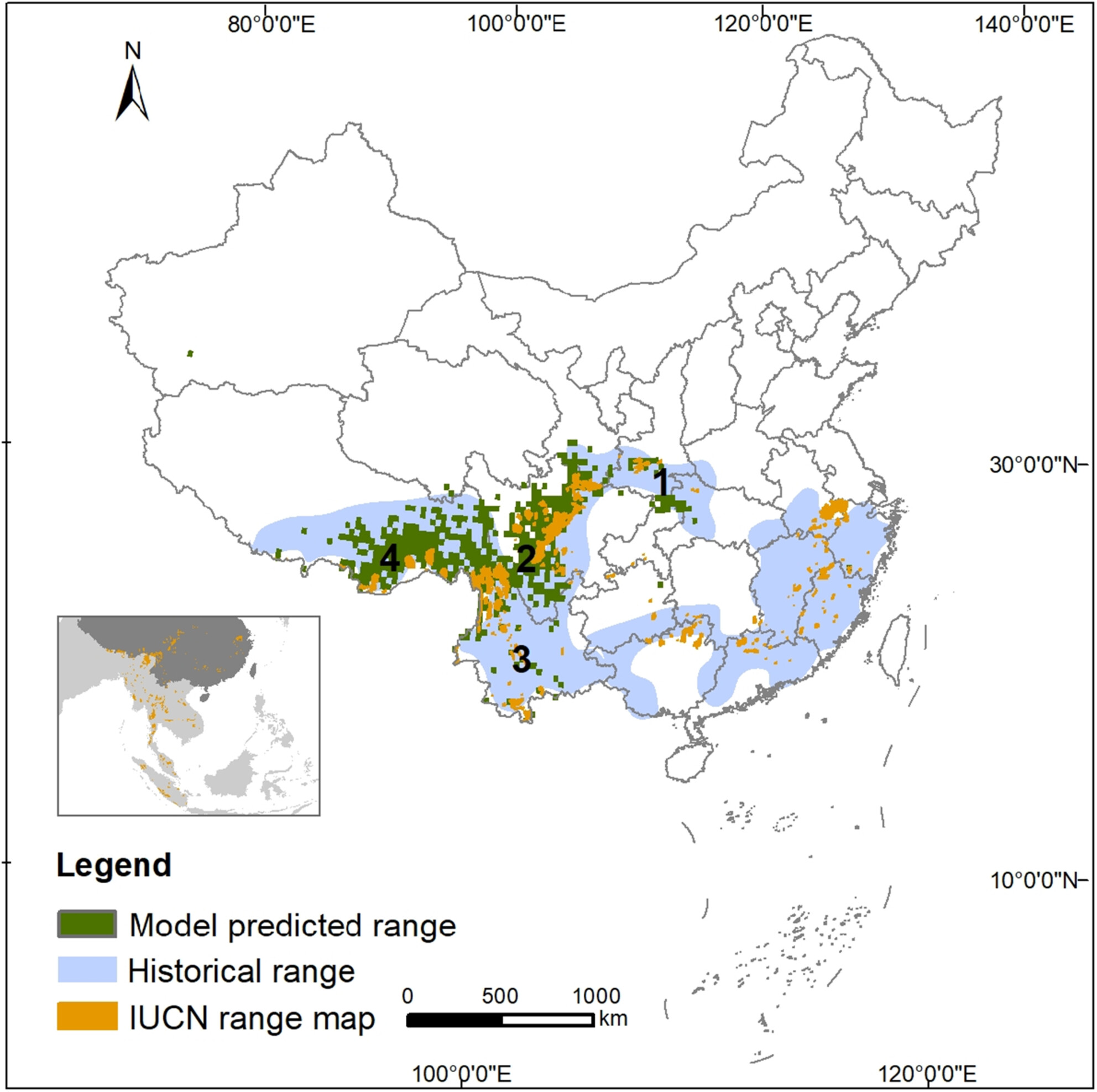 Distribution of the Asiatic golden cat (Catopuma temminckii) and variations in its coat morphology in China