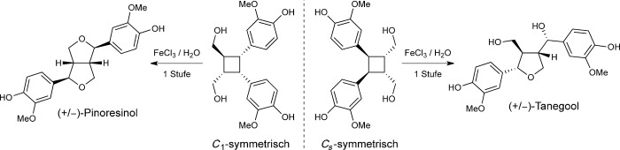 A Bio-Inspired Total Synthesis of Tetrahydrofuran Lignans