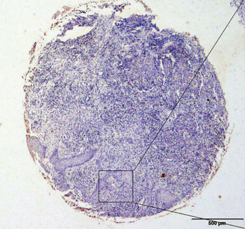Details are in the caption following the image