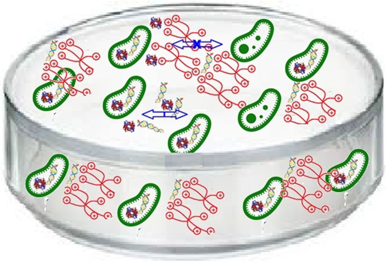 Dynamic Constitutional Frameworks as Antibacterial and Antibiofilm Agents