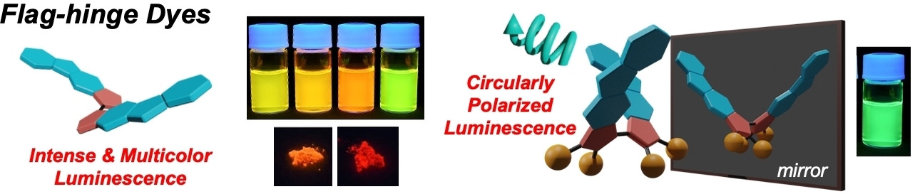 Highly Fluorescent Bipyrrole-Based Tetra-BF2 Flag-Hinge Chromophores: Achieving Multicolor and Circularly Polarized Luminescence