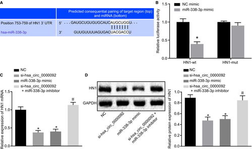 Details are in the caption following the image Details are in the caption following the image