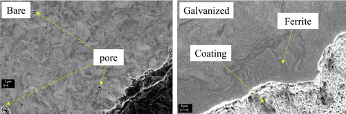Details are in the caption following the image