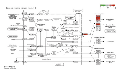 Details are in the caption following the image
