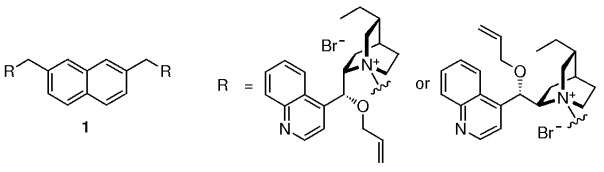 Highly Enantioselective and Practical Cinchona-Derived Phase-Transfer Catalysts for the Synthesis of α-Amino Acids