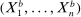 urn:x-wiley:00129682:media:ecta200040:ecta200040-math-0102