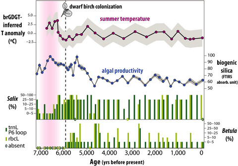Arctic shrub colonization lagged peak postglacial warmth: Molecular evidence in lake sediment from Arctic Canada