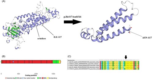 Details are in the caption following the image Details are in the caption following the image