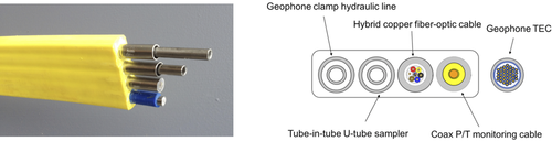 Details are in the caption following the image Details are in the caption following the image