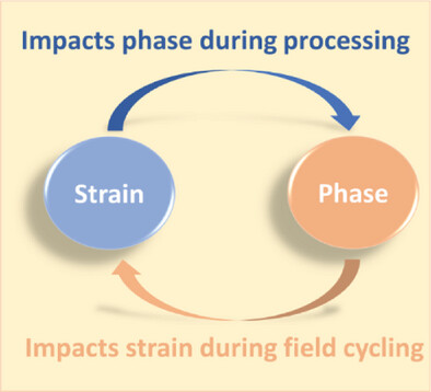 Interaction Between Strain and Phase Formation in HfxZr1-xO2 Thin Films