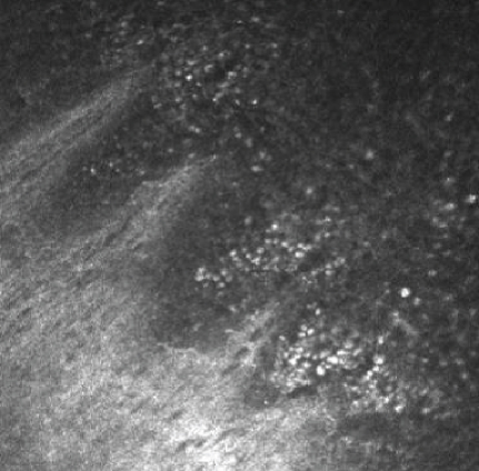 Details are in the caption following the image