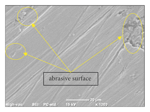 Details are in the caption following the image