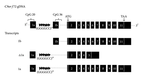 Details are in the caption following the image