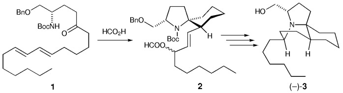 Total Synthesis of the Natural Enantiomer of (−)-Lepadiformine and Determination of Its Absolute Stereochemistry