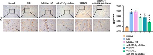 Details are in the caption following the image Details are in the caption following the image