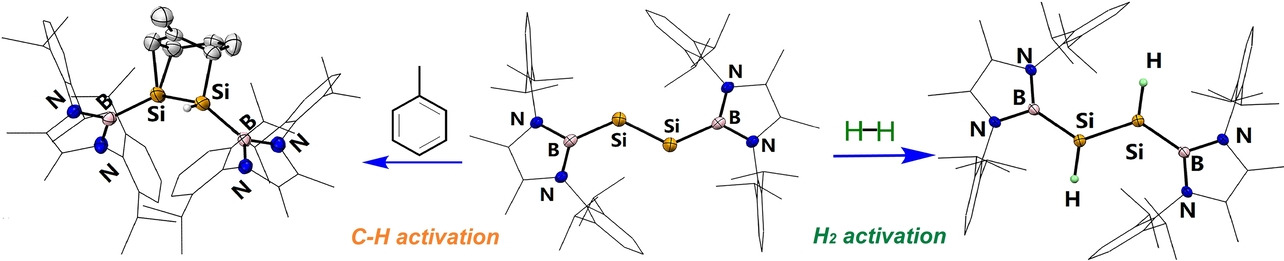 Synthesis of an N-Heterocylic Boryl-Stabilized Disilyne and Its Application to the Activation of Dihydrogen and C−H Bonds