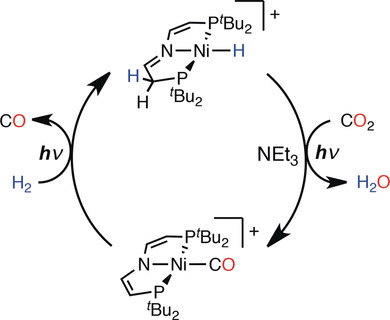 Photochemically Driven Reverse Water-Gas Shift at Ambient Conditions mediated by a Nickel Pincer Complex